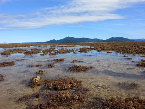 Walk To The Reef - Accommodation Mount Tamborine 0