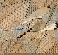 WA Now  Tom Mller Monolith Scores - Virtual Exhibition - Accommodation Mount Tamborine