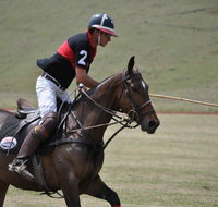 Wirragulla Annual Polo Tournament - Accommodation Mount Tamborine