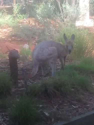 Queensland Winter Craft Festival - Accommodation Mount Tamborine 4