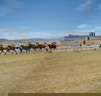 Adaminaby Cup Race Day