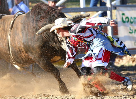 AgriWest Cooma Rodeo - Accommodation Mount Tamborine 2