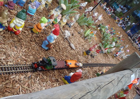 Australia Day With The Australian Gnome Convention Glenbrook - Accommodation Mount Tamborine 2