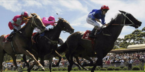 Batemans Bay Cup - Accommodation Mount Tamborine 0