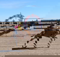 Bedourie Camel and Pig Races and Camp oven Cook-off - Accommodation Mount Tamborine