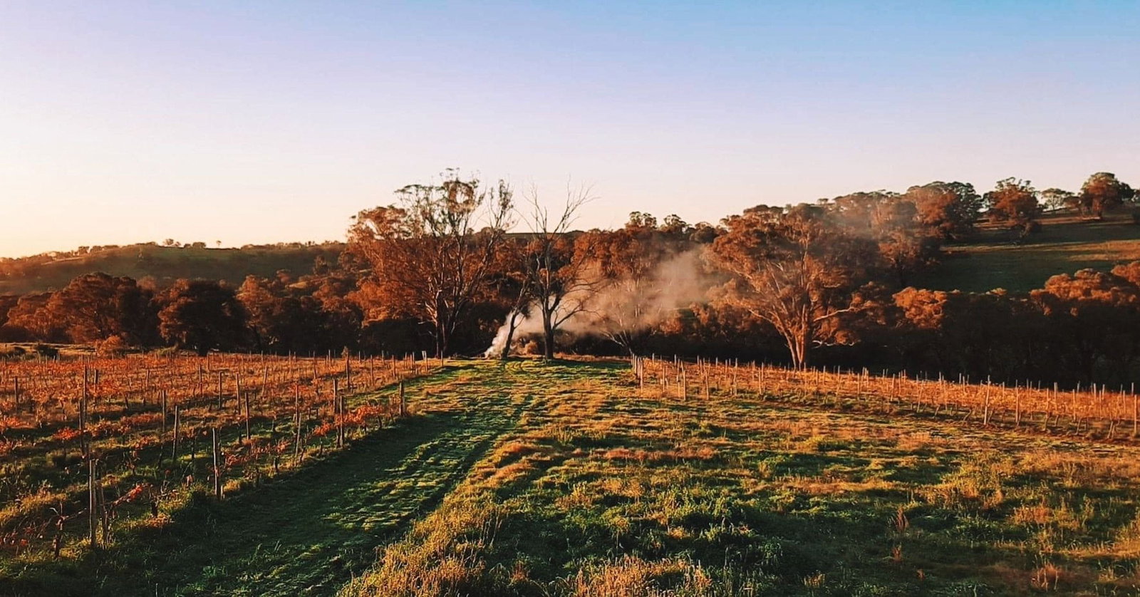 Lidster NSW Accommodation Mount Tamborine