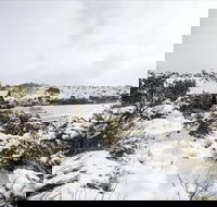 Christmas in July at Cradle Mountain Hotel 2020 - Accommodation Mount Tamborine