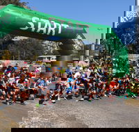 Coffs Harbour Running Festival - Accommodation Mount Tamborine