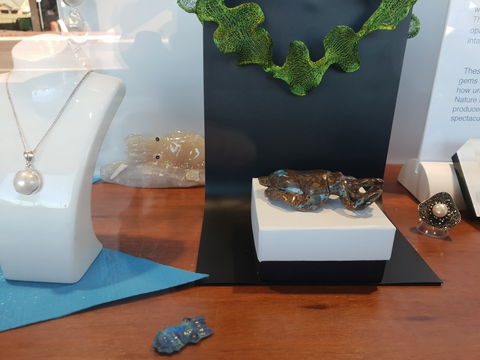 Cuttlefish Art Trail - Cuttlefest 2020 - Accommodation Mount Tamborine 1