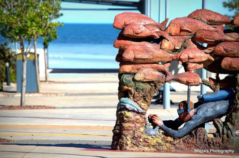 Cuttlefish Art Trail - Cuttlefest 2020 - Accommodation Mount Tamborine 2