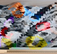 Cuttle-Rock Challenge - CUTTLEFEST 2020 - Whyalla - Accommodation Mount Tamborine