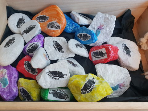 Cuttle-Rock Challenge - CUTTLEFEST 2020 - Whyalla - Accommodation Mount Tamborine 0