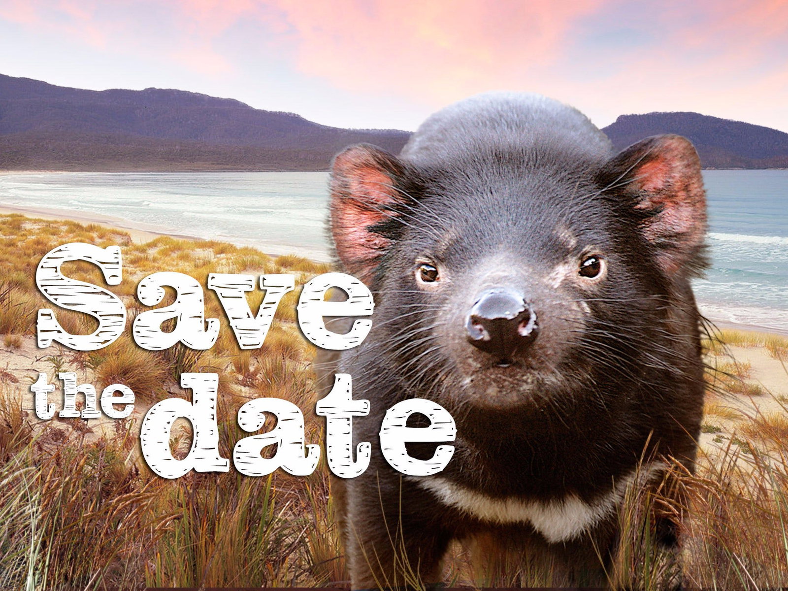 Eggs And Bacon Bay TAS Accommodation Mount Tamborine