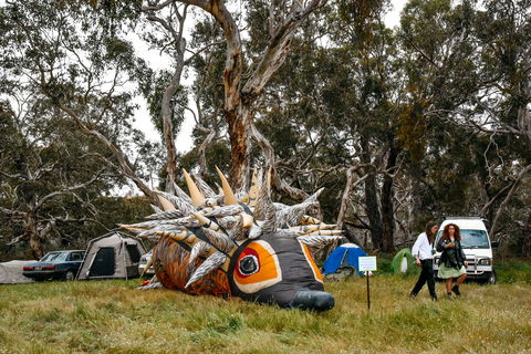 Field Good Festival - Accommodation Mount Tamborine 2
