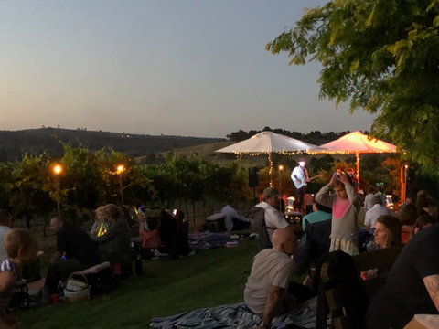 Fireside Pig And Pinot At Contentious Character - Accommodation Mount Tamborine 2