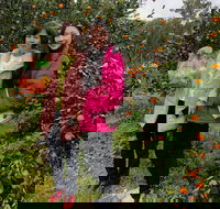 Fruit Taste Adventure Tours - Accommodation Mount Tamborine