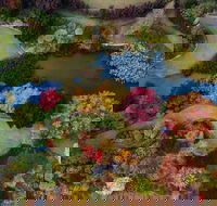 Glenrock Gardens Open Garden - Accommodation Mount Tamborine