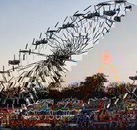Grafton Show - Accommodation Mount Tamborine