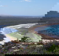 Head to Head Walk Run - Accommodation Mount Tamborine