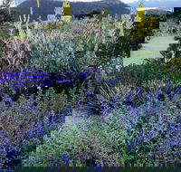 Highfield Gardens - Accommodation Mount Tamborine