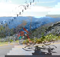 High Country Women's Cycling Festival - Accommodation Mount Tamborine