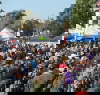 Hunter Valley Caravan Camping 4WD Fish and Boat Show - Accommodation Mount Tamborine