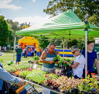 Huskisson Market - Accommodation Mount Tamborine
