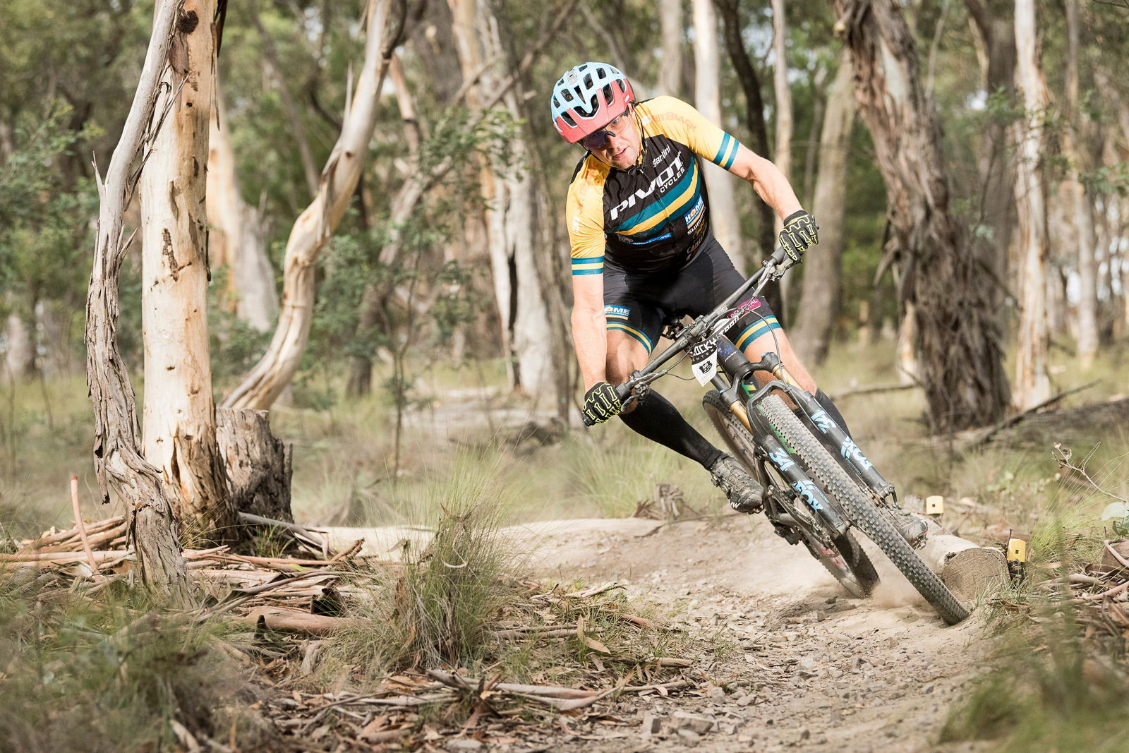 Rydal NSW Accommodation Mount Tamborine