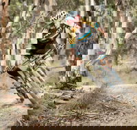 Jetblack 24 Hour - Accommodation Mount Tamborine