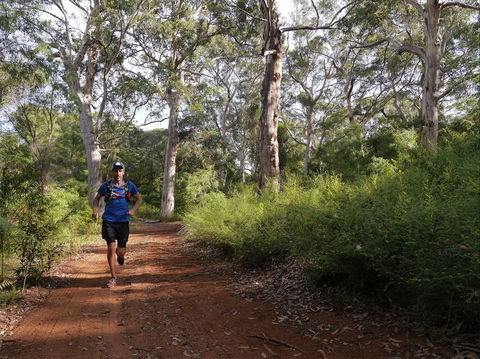 Margaret River Ultra Marathon - Accommodation Mount Tamborine 0
