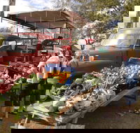 Murphys Creek Markets - Accommodation Mount Tamborine