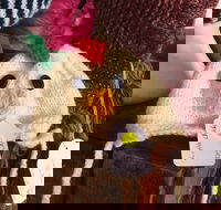 Murrindindi Beanie  Fibre Festival Online - Accommodation Mount Tamborine