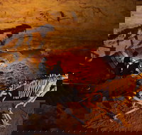 Naracoorte World Heritage Festival and Run - Accommodation Mount Tamborine