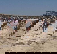 Perlubie Beach Sports Day - Accommodation Mount Tamborine