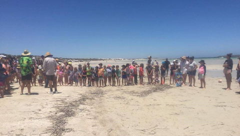 Perlubie Beach Sports Day - Accommodation Mount Tamborine 1