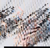 Pulse Perspectives - Accommodation Mount Tamborine