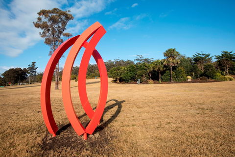 Sculpture For Clyde - Accommodation Mount Tamborine 0