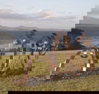 Sculpture Bermagui - Accommodation Mount Tamborine