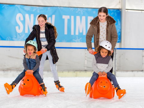 Snow Time In The Garden - Hunter Valley Gardens - Cancelled - Accommodation Mount Tamborine 2