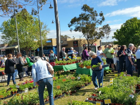 Springwood Growers Market - Accommodation Mount Tamborine 1