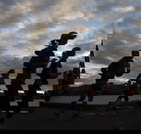 Sydney Harbour 10k and 5k - Event Postponed - Accommodation Mount Tamborine