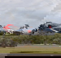 The Great Eastern Fly-In - Accommodation Mount Tamborine