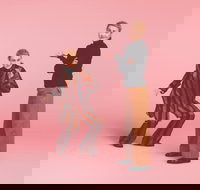 The Comedy of Errors - Accommodation Mount Tamborine