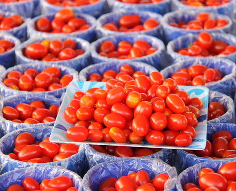 The Entrance Market - Accommodation Mount Tamborine 2