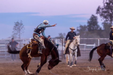 Walgett Charity Bushman's Carnival Rodeo And Campdraft - Accommodation Mount Tamborine 1