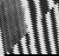 WA Now  Tom Mller Monolith Scores - Accommodation Mount Tamborine