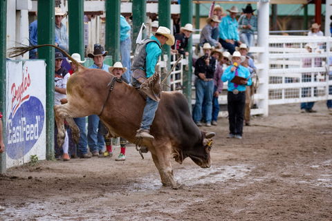 Warwick Rodeo National APRA National Finals And Warwick Gold Cup Campdraft - Accommodation Mount Tamborine 1