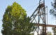 Wentworth Main Mine Open Day - thumb 0