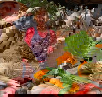 Albany Farmers Market - Accommodation Mount Tamborine