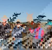 Annual Prairie Races - Accommodation Mount Tamborine